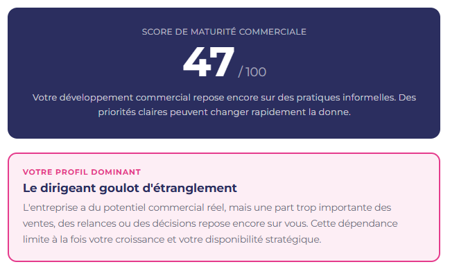 Score de performance commerciale