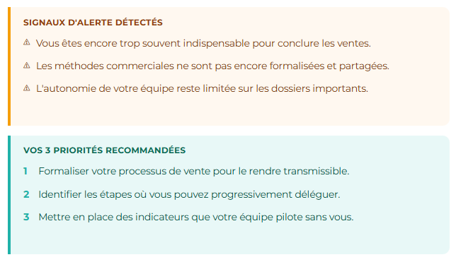Analyse de performance commerciale